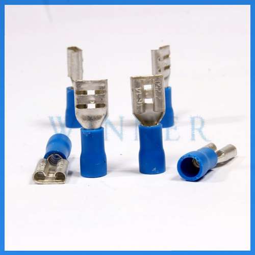 سرسیم فیشی کولری مادگی 2.5